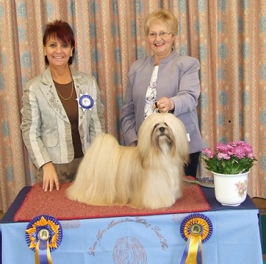Best in Show